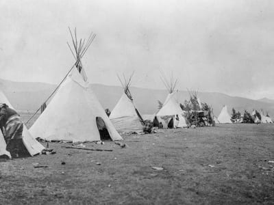 Indigenous